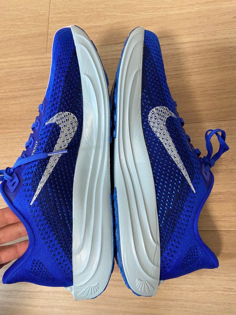 NIKE ナイキ Pegasus plus ペガサスプラス 28㎝