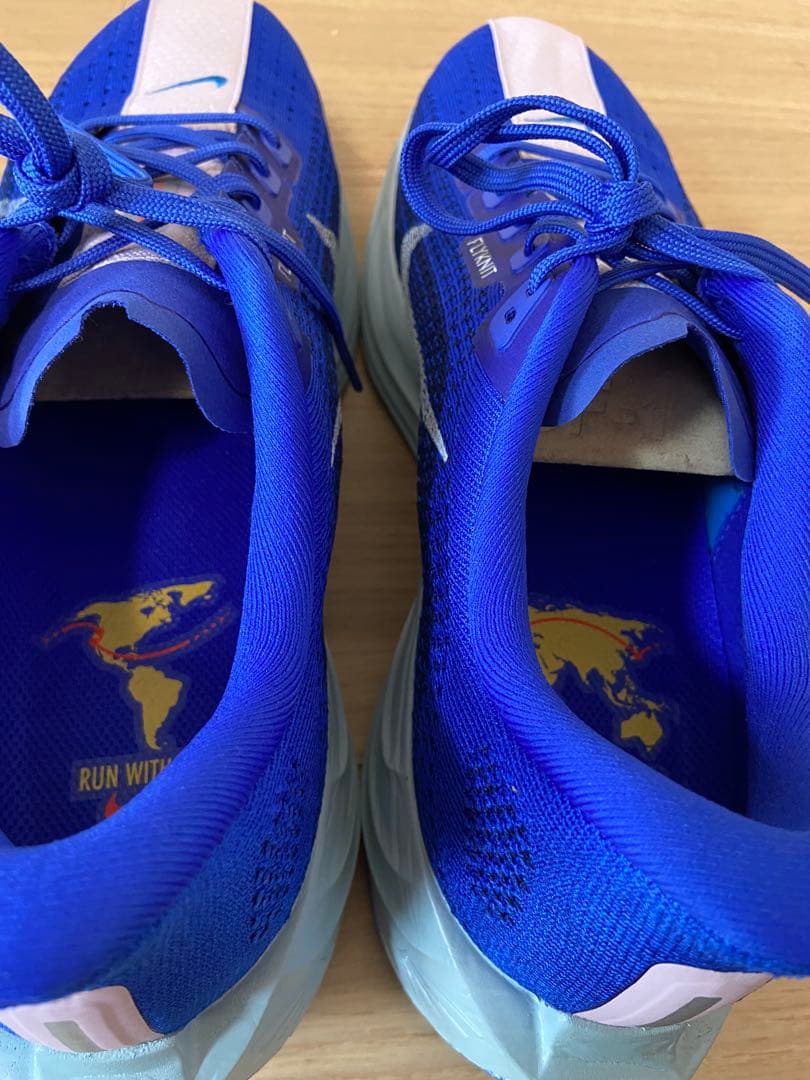 NIKE ナイキ Pegasus plus ペガサスプラス 28㎝