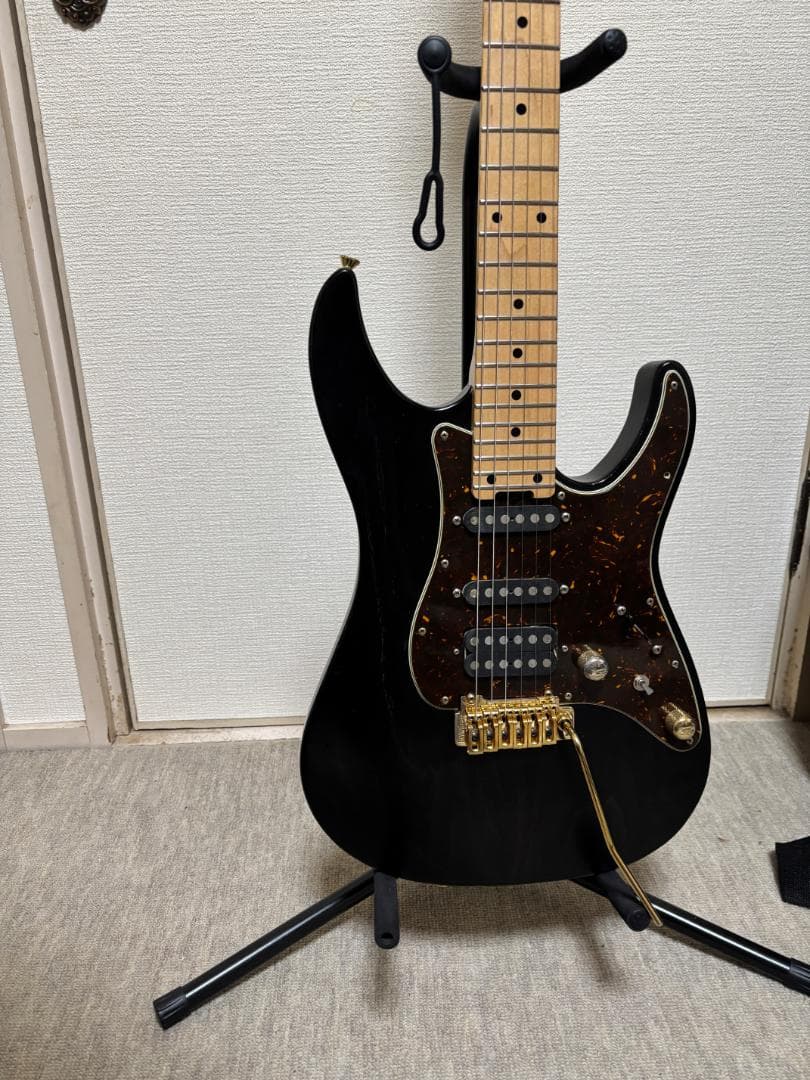 schecter BH-1 STD-24 とおまけホワイトピックガード