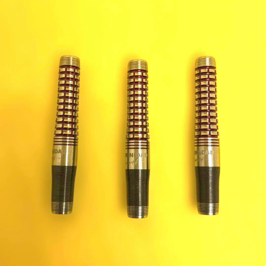 TRiNiDAD ROMERO2 21g トリニダード ロメロ ダーツ バレル