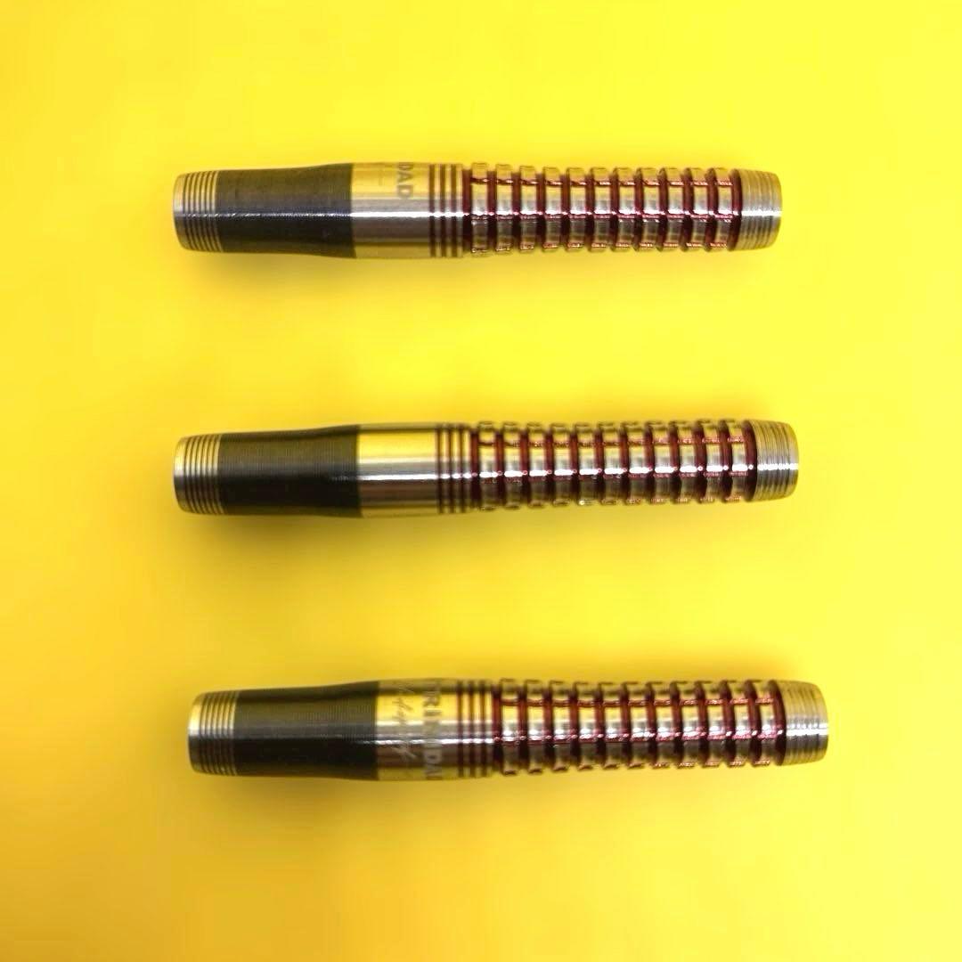 TRiNiDAD ROMERO2 21g トリニダード ロメロ ダーツ バレル