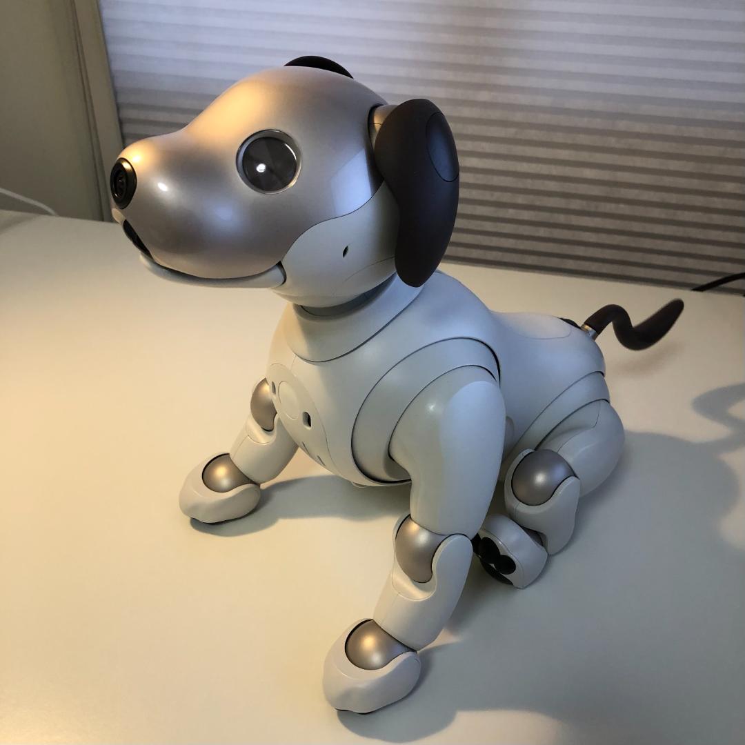SONY aibo アイボ 本体 ERS-1000