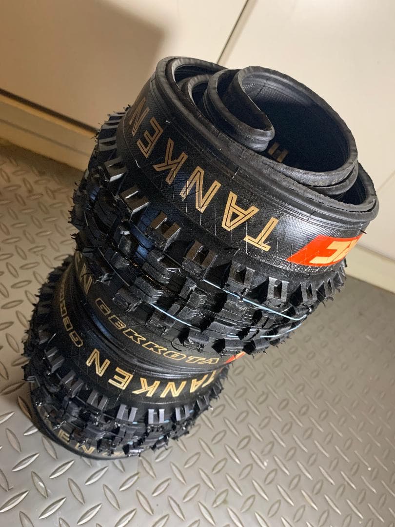 IRC TANKEN GEKKOTA 2本セット 29 × 2.3