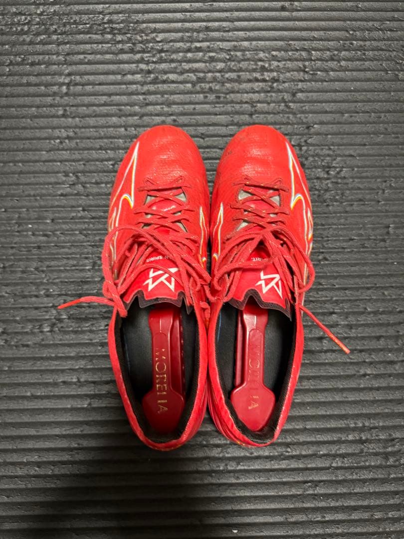 Mizuno アルファJapan