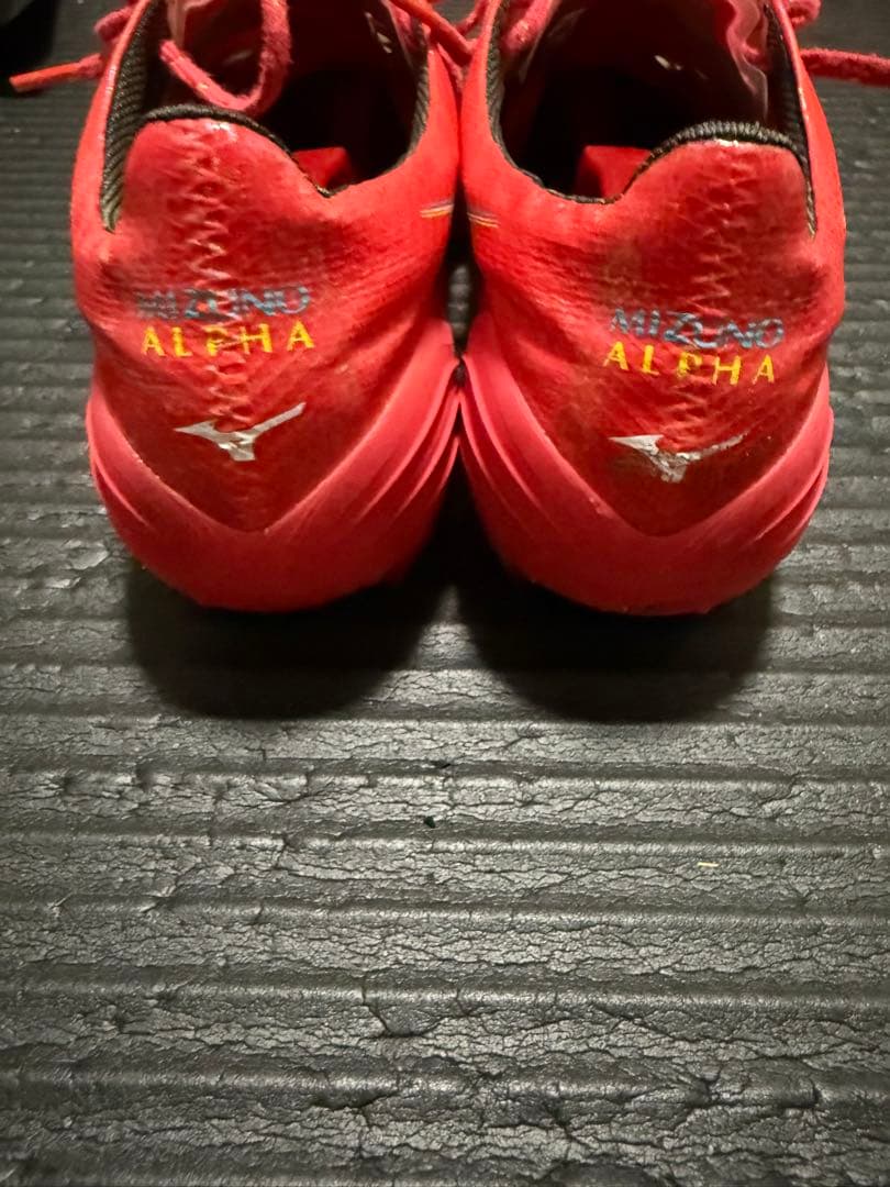 Mizuno アルファJapan