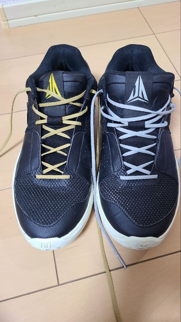 シューズ(男性用) NIKE JA 1
