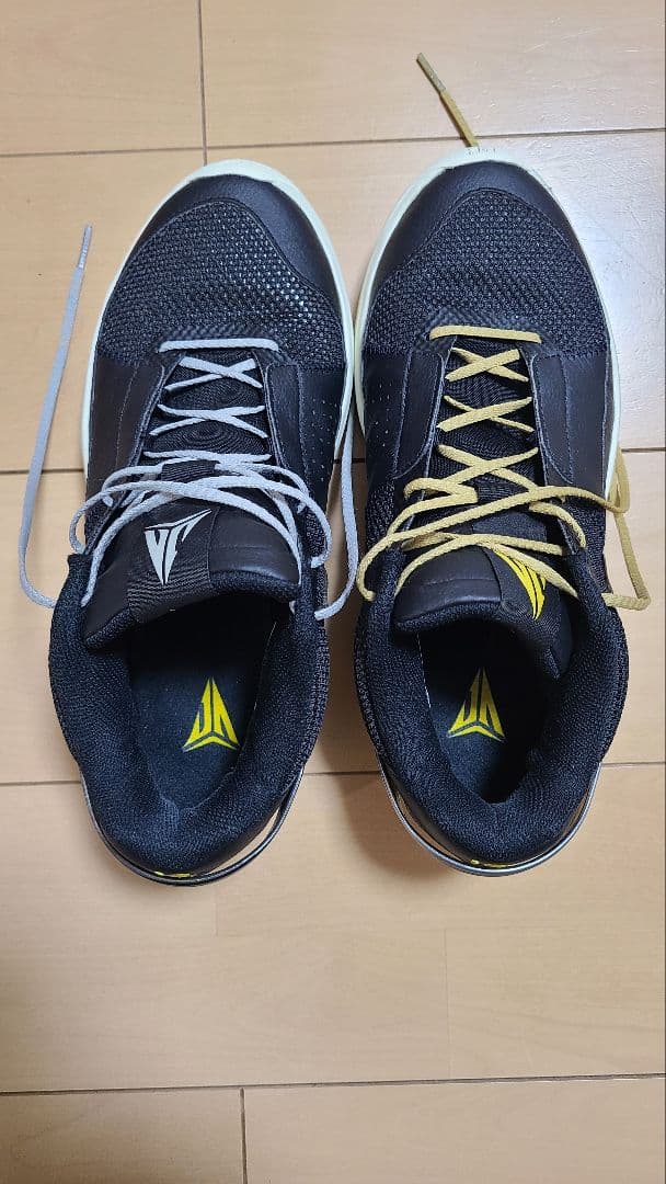 シューズ(男性用) NIKE JA 1