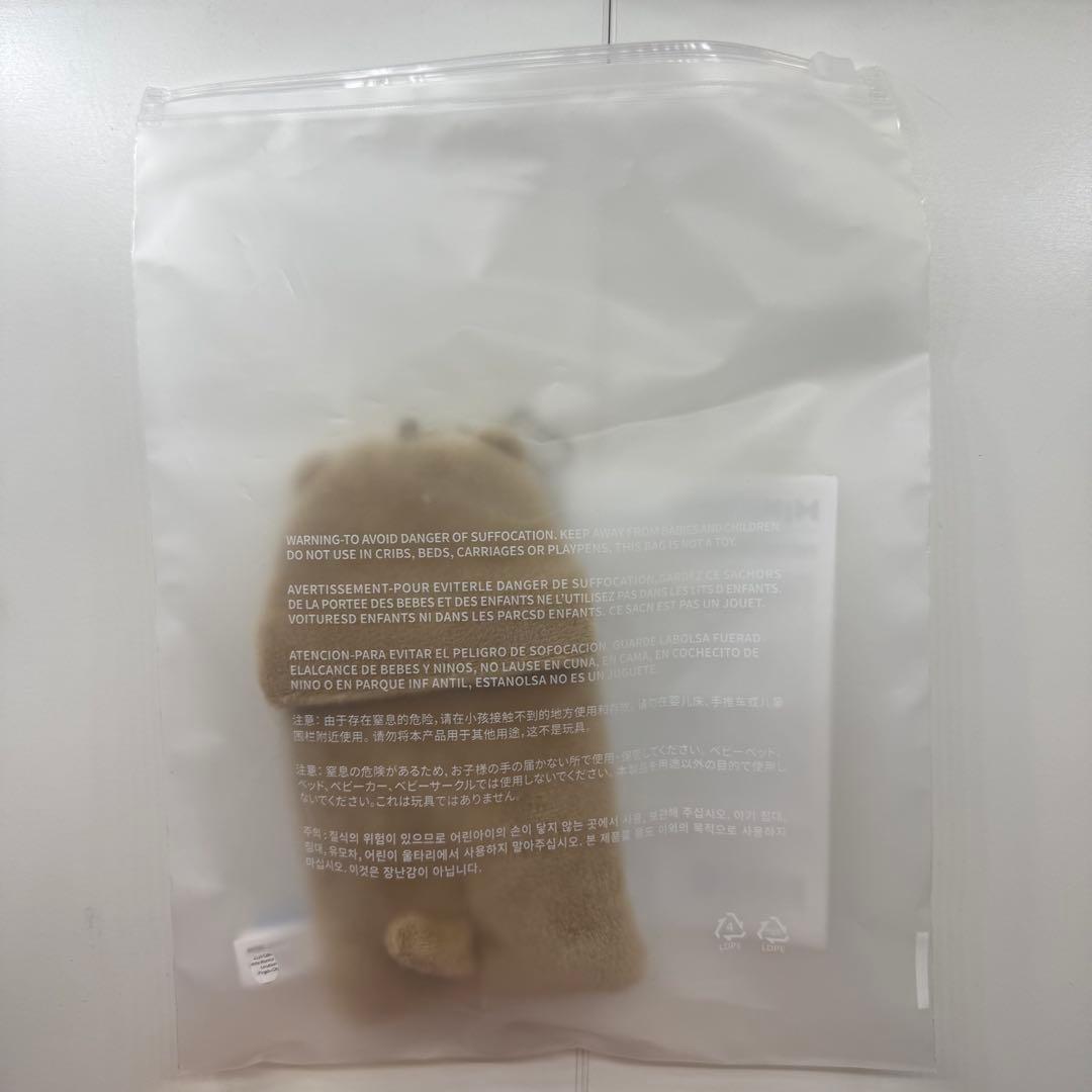 miniteenチャンダリ ディノ フォトカードホルダー トレカホルダー