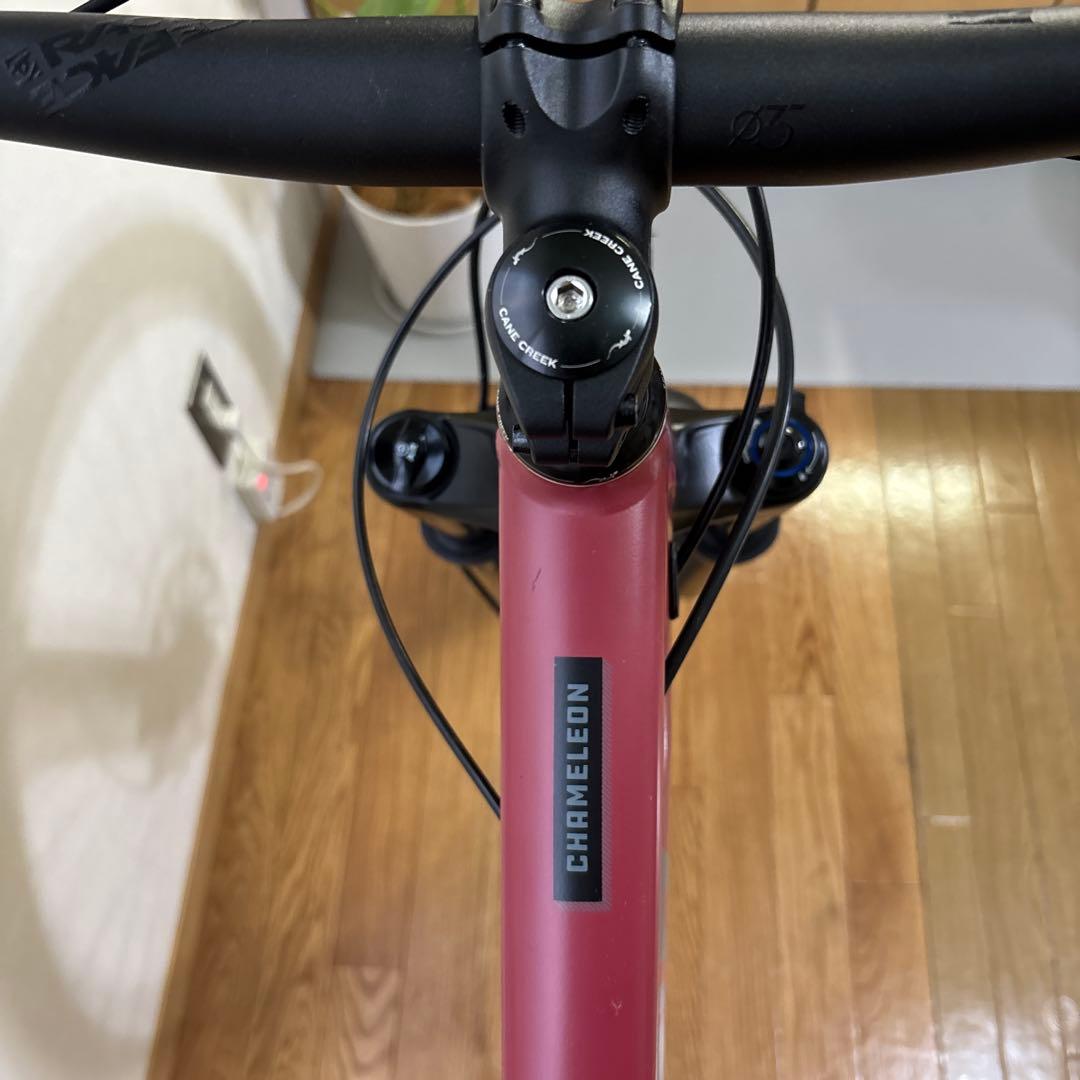 santa cruz chameleon 29er サンタクルズ　カメレオン