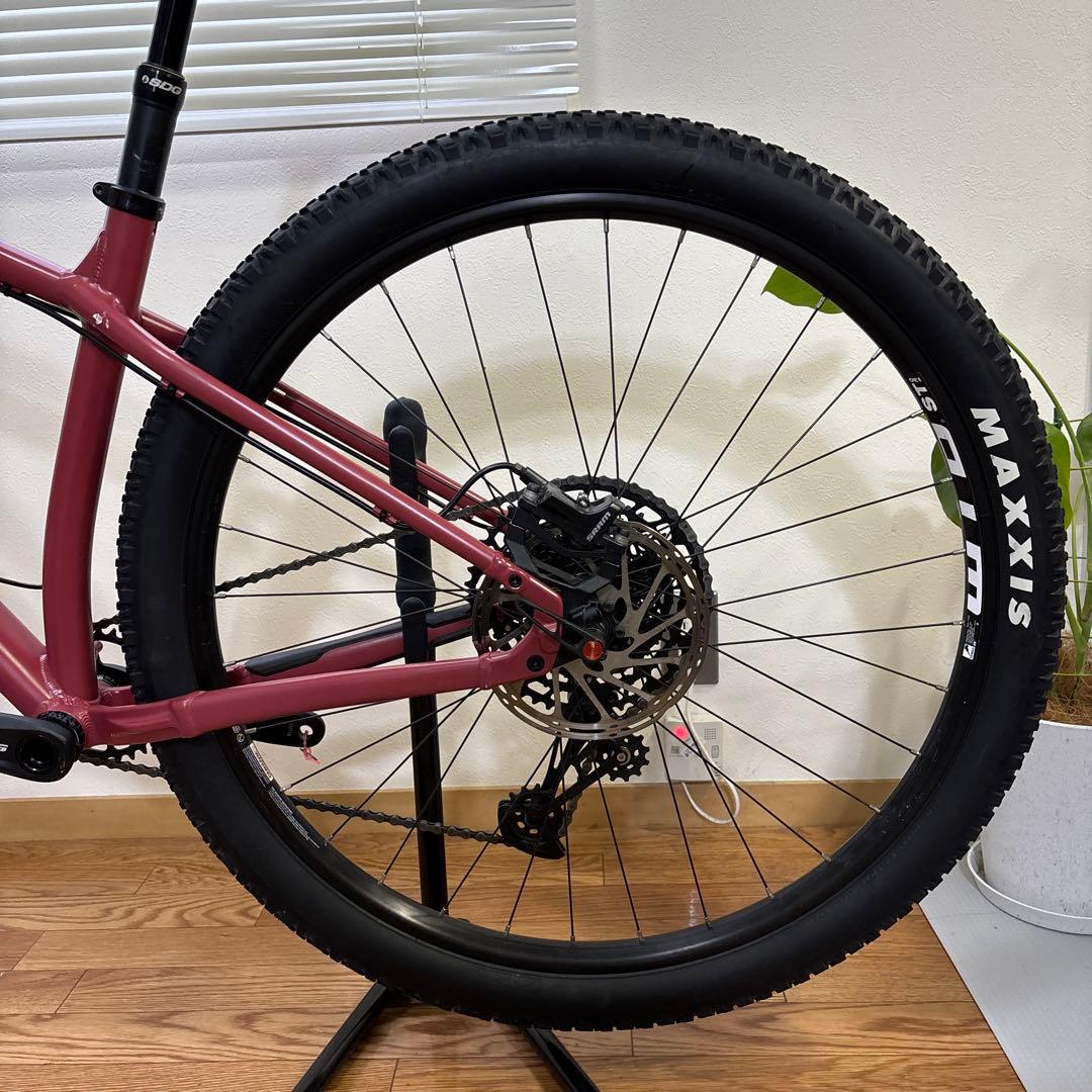 santa cruz chameleon 29er サンタクルズ　カメレオン