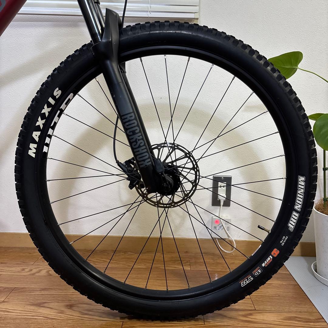 santa cruz chameleon 29er サンタクルズ　カメレオン