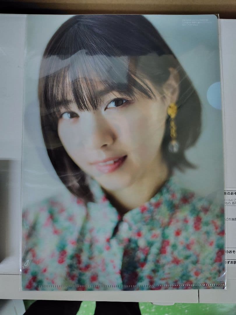 【貴重】乃木坂46などアイドルクリアファイル31枚セット！坂道、AKBなど！