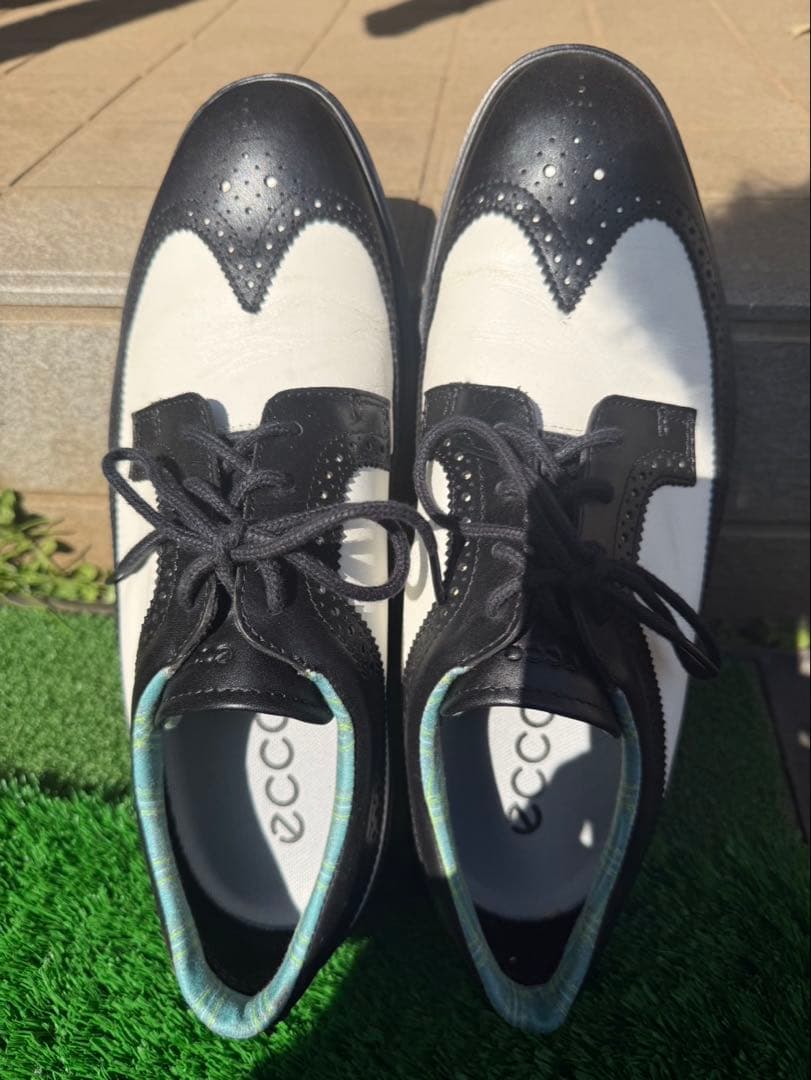 ECCO メンズモデル スパイクレス CLASSIC HYBRID Brog