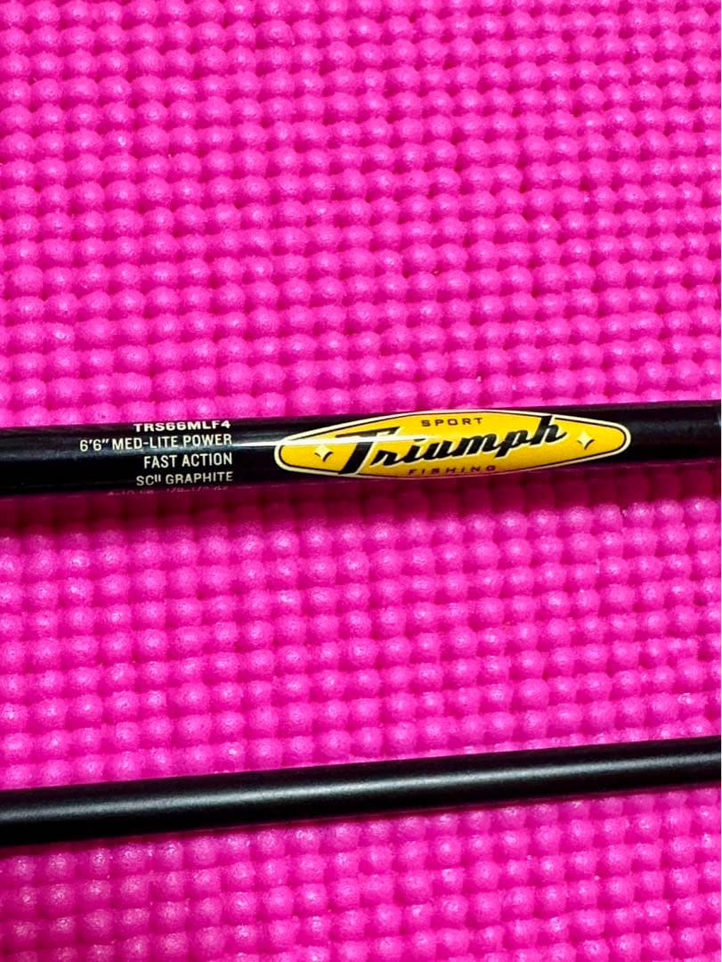 スピニングロッド　リール　セット　釣竿
