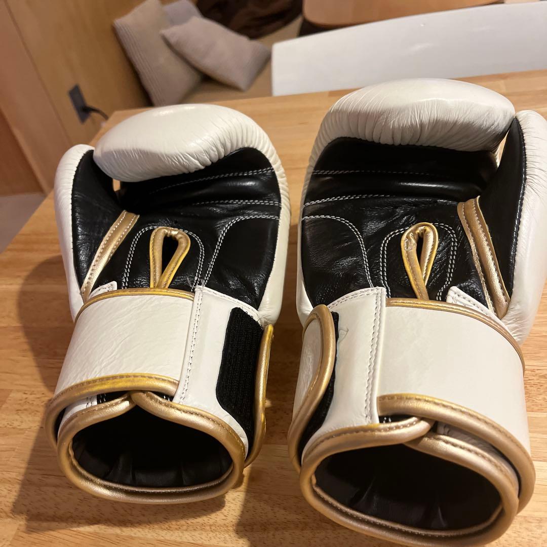 ISAMI BOXER ボクシンググローブ 14 OZ