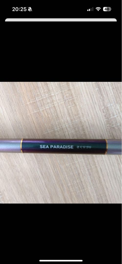 海上釣り堀ロッド　SEA PARADISE S-250 釣り竿