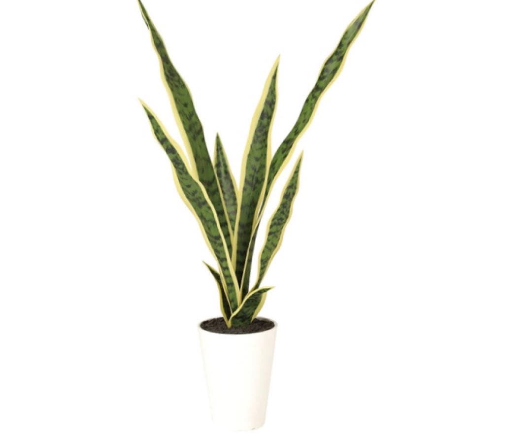 光触媒　人工観葉植物　ウォールグリーン　フェイクグリーン　サンスベリア65