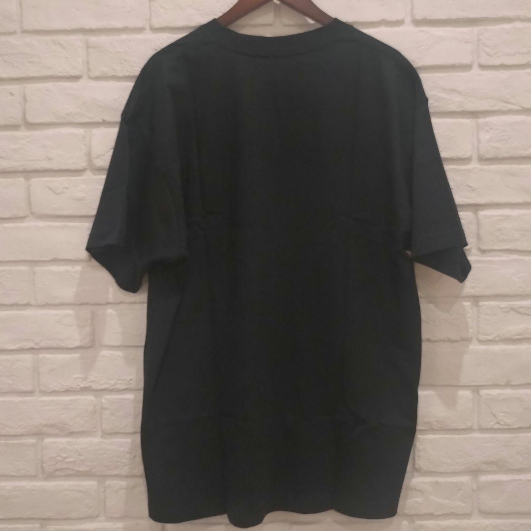 ウェア NIKE Stade Toulousain 24/25 City T-shirt