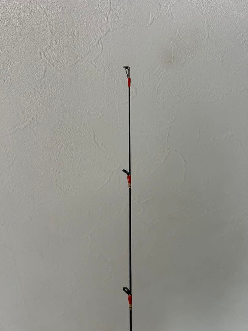 Daiwa月下美人EX AGS ７６MLS-T
