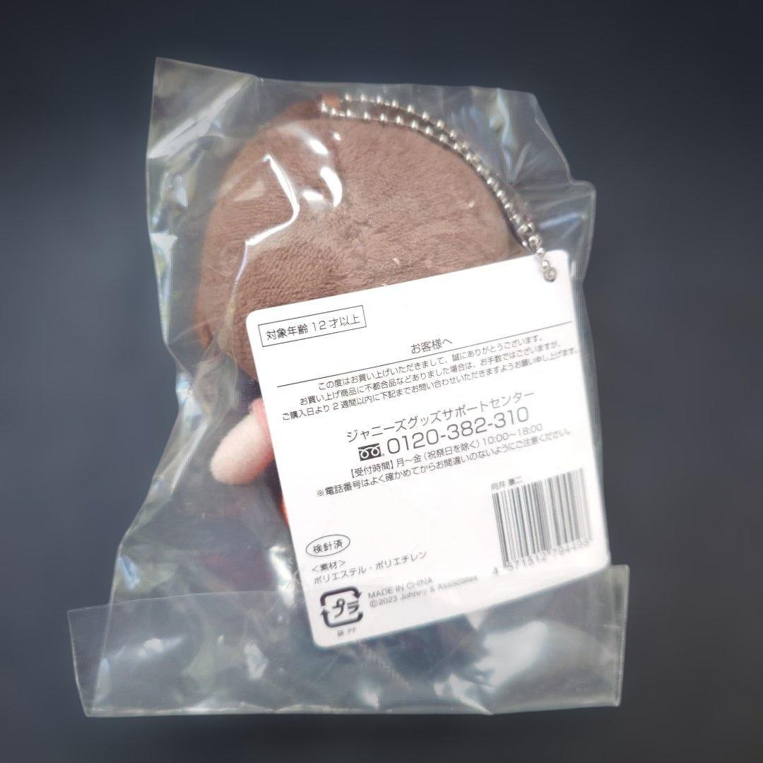 【新品•未開封】向井康二 すのチル　ぬいぐるみ