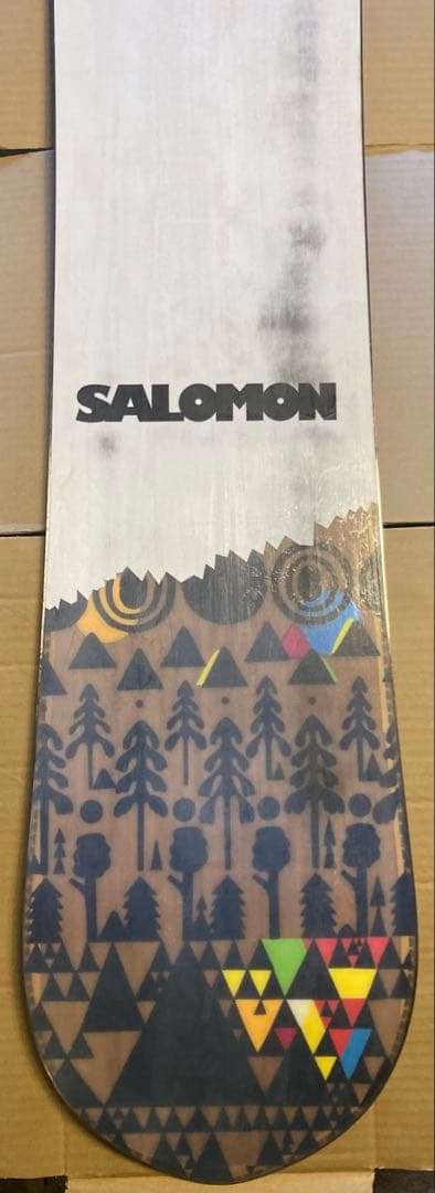 SALOMON サロモン SickStick スノーボード 163 バンブー