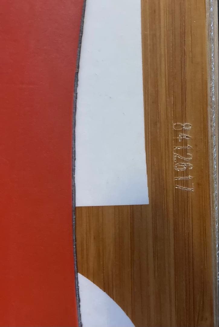 SALOMON サロモン SickStick スノーボード 163 バンブー
