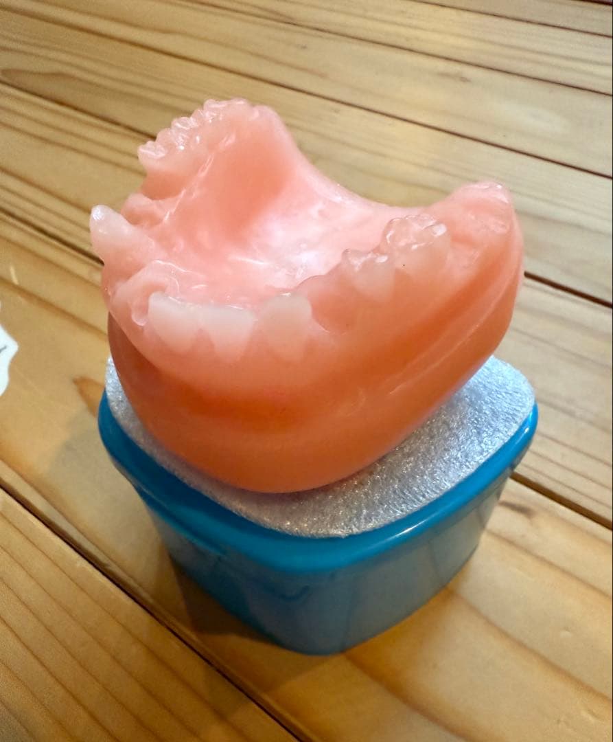 ANTI HERO ANDY ROY アンディロイ 歯型WAX & ケース送料込
