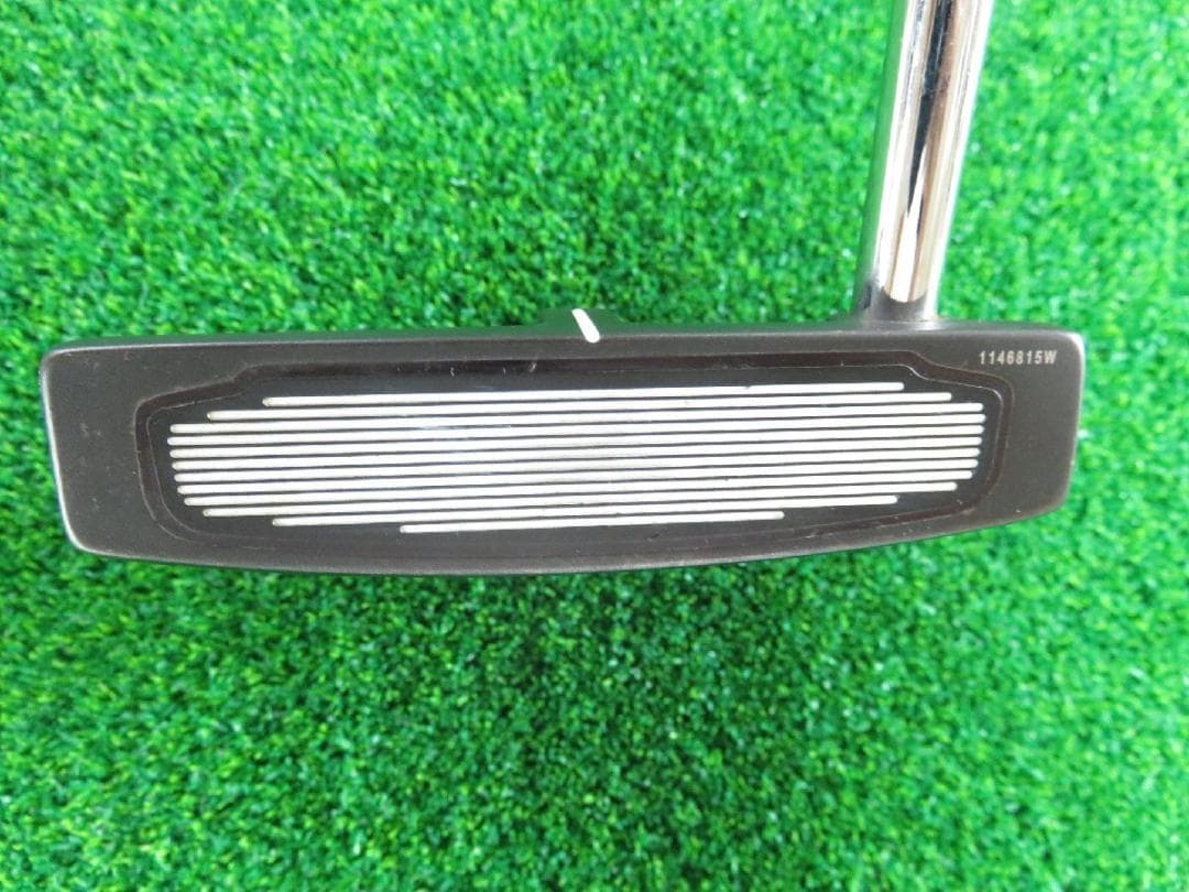 ピン Scottsdale TR Grayhawk 31-38インチ