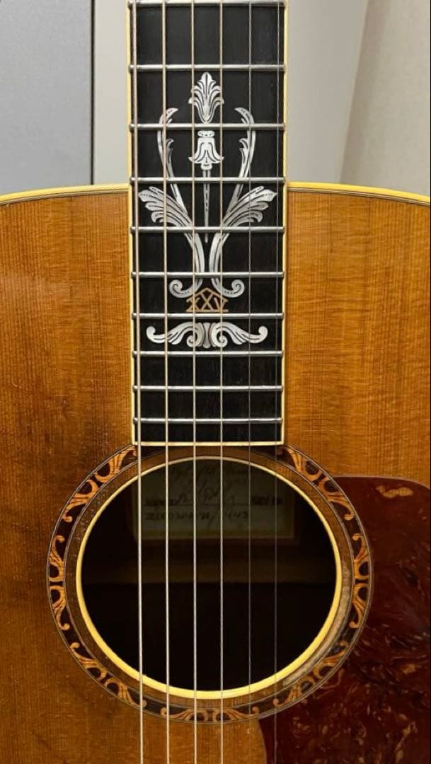 Taylor XXV-PR プレミアム25周年記念 エレアコ 世界限定500本
