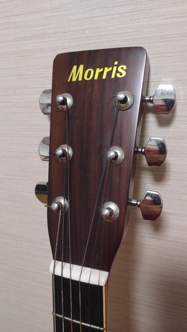 ギター Morris W-20