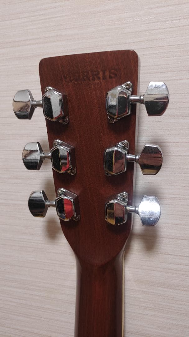 ギター Morris W-20