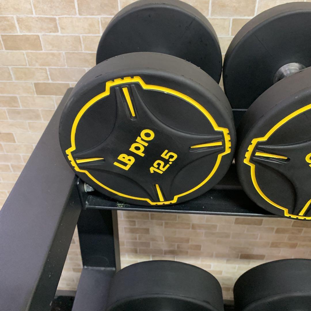 TPUダンベル  12.5kg 2個