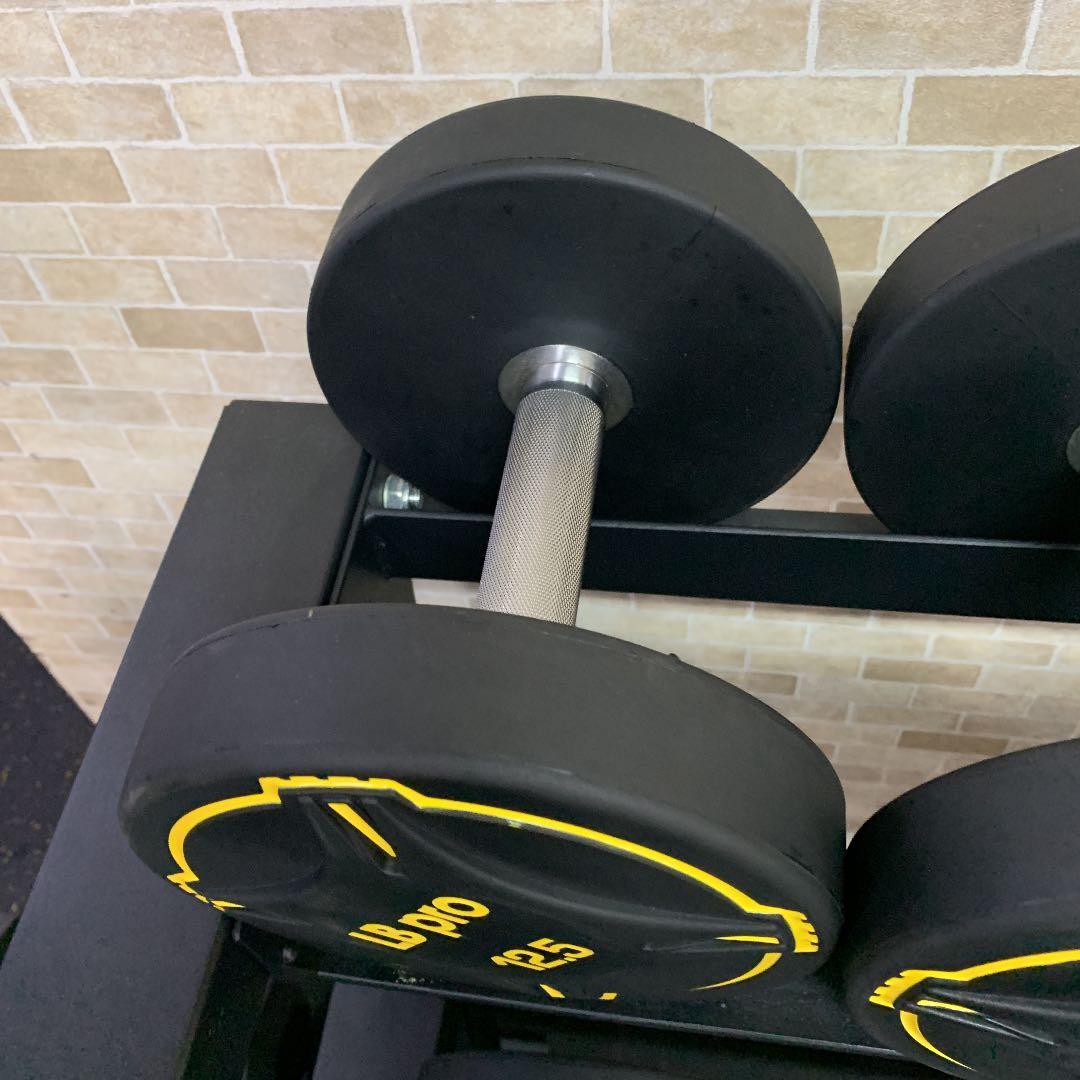 TPUダンベル  12.5kg 2個