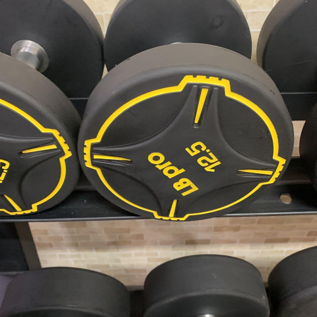 TPUダンベル  12.5kg 2個