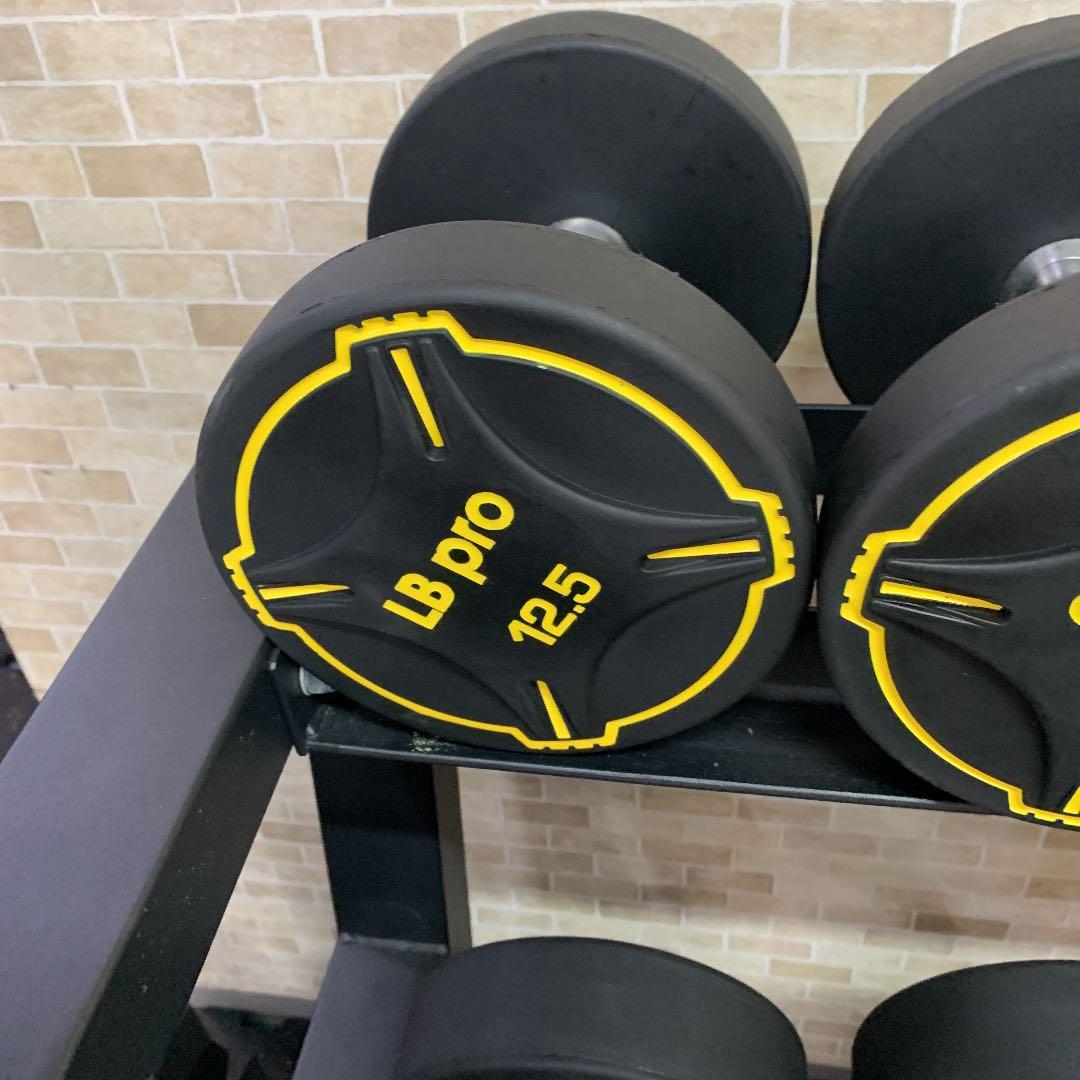 TPUダンベル  12.5kg 2個