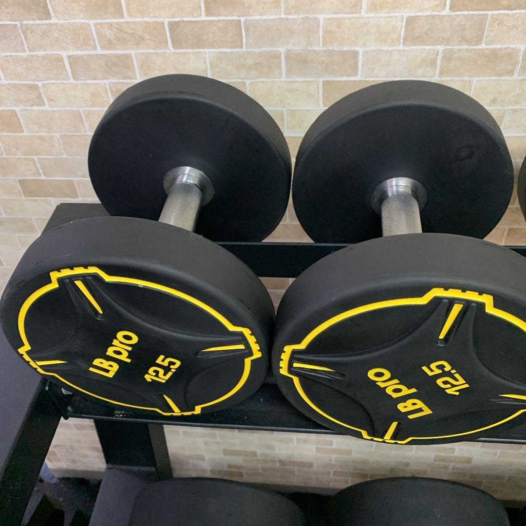 TPUダンベル  12.5kg 2個