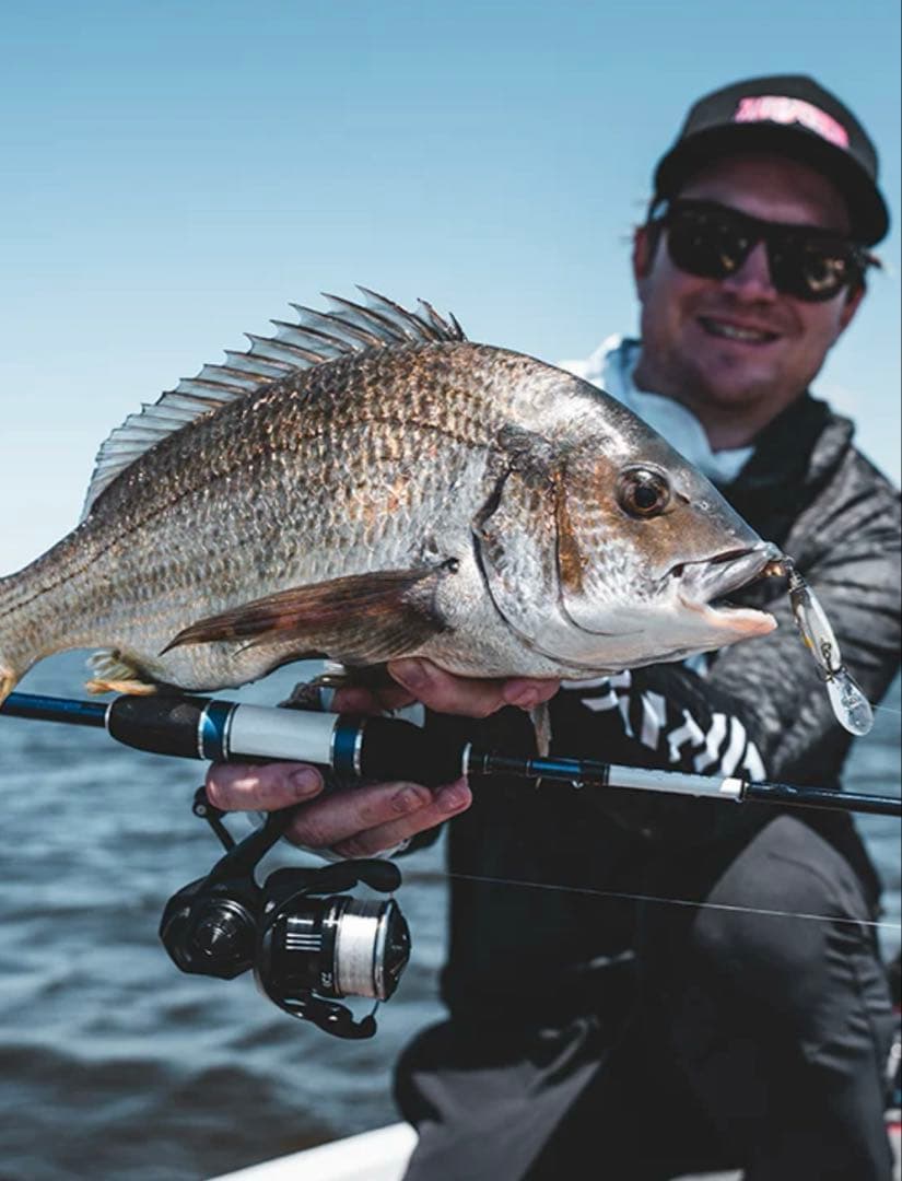 DAIWA 24 TD BLACK MQ 3000D 海外モデル　セルテート