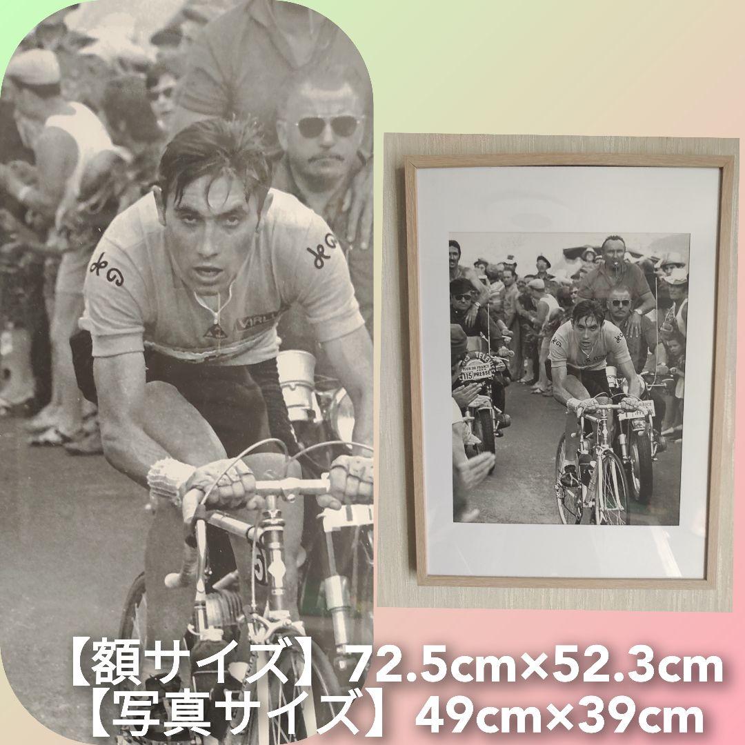 BIG サイズの写真/1960年代世界最高の選手【★Eddy ・Merckx 】