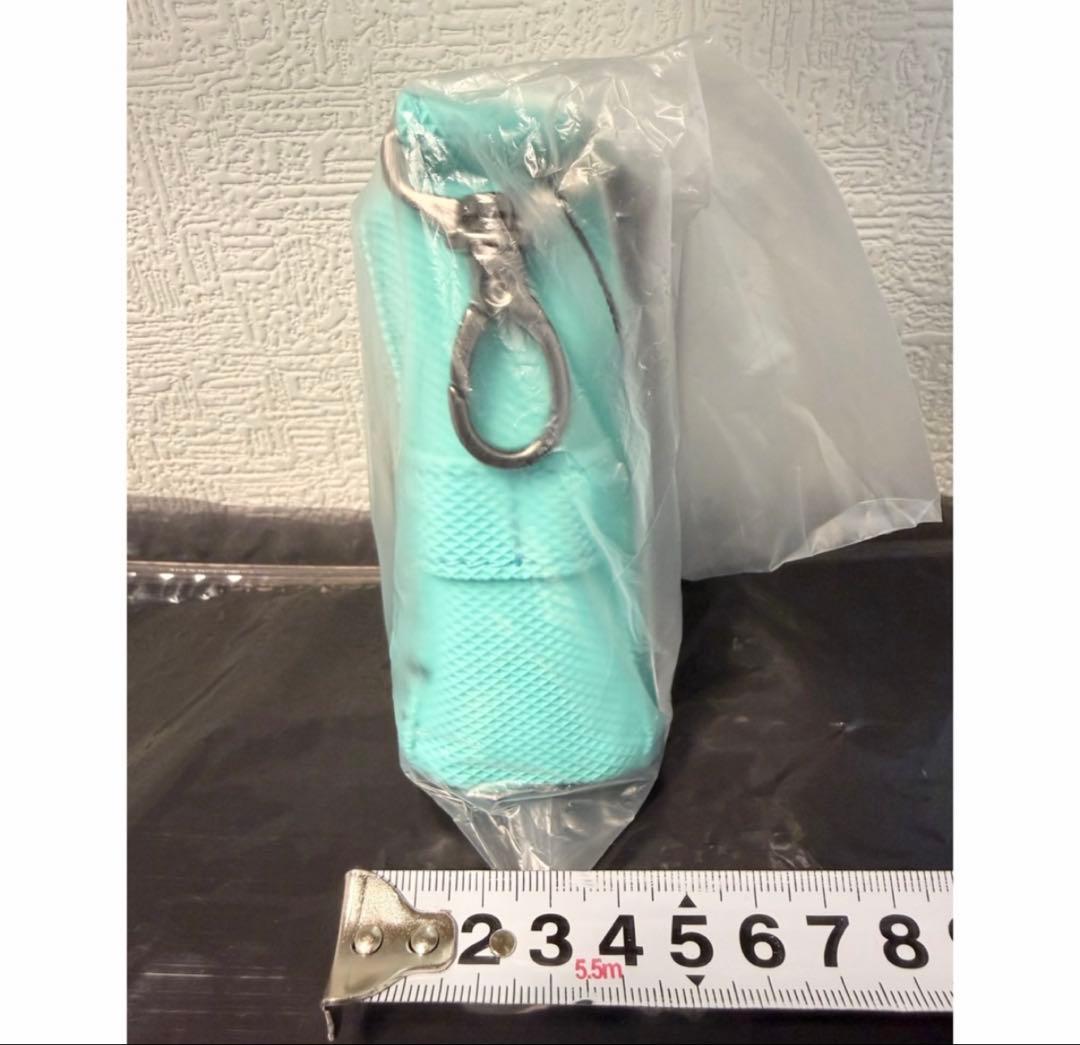 【沖縄店限定】 新品未使用 #FR2 GOLF ボールケース ターコイズブルー