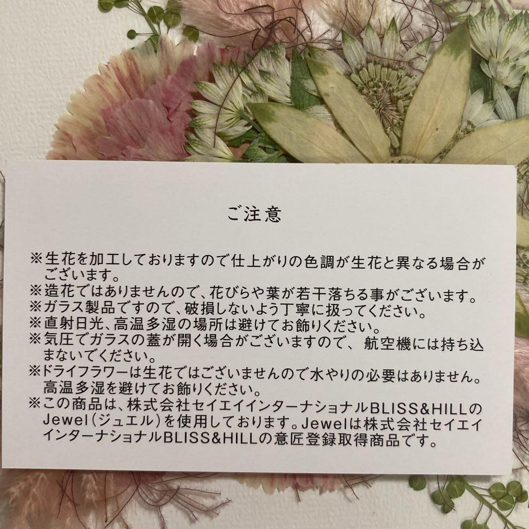 日比谷花壇 母の日 敬老の日　花 プレゼント 押し花フレームアート 「ソラナ」