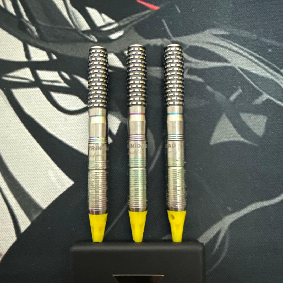 ダーツ TRINIDAD HUGO TYPE2