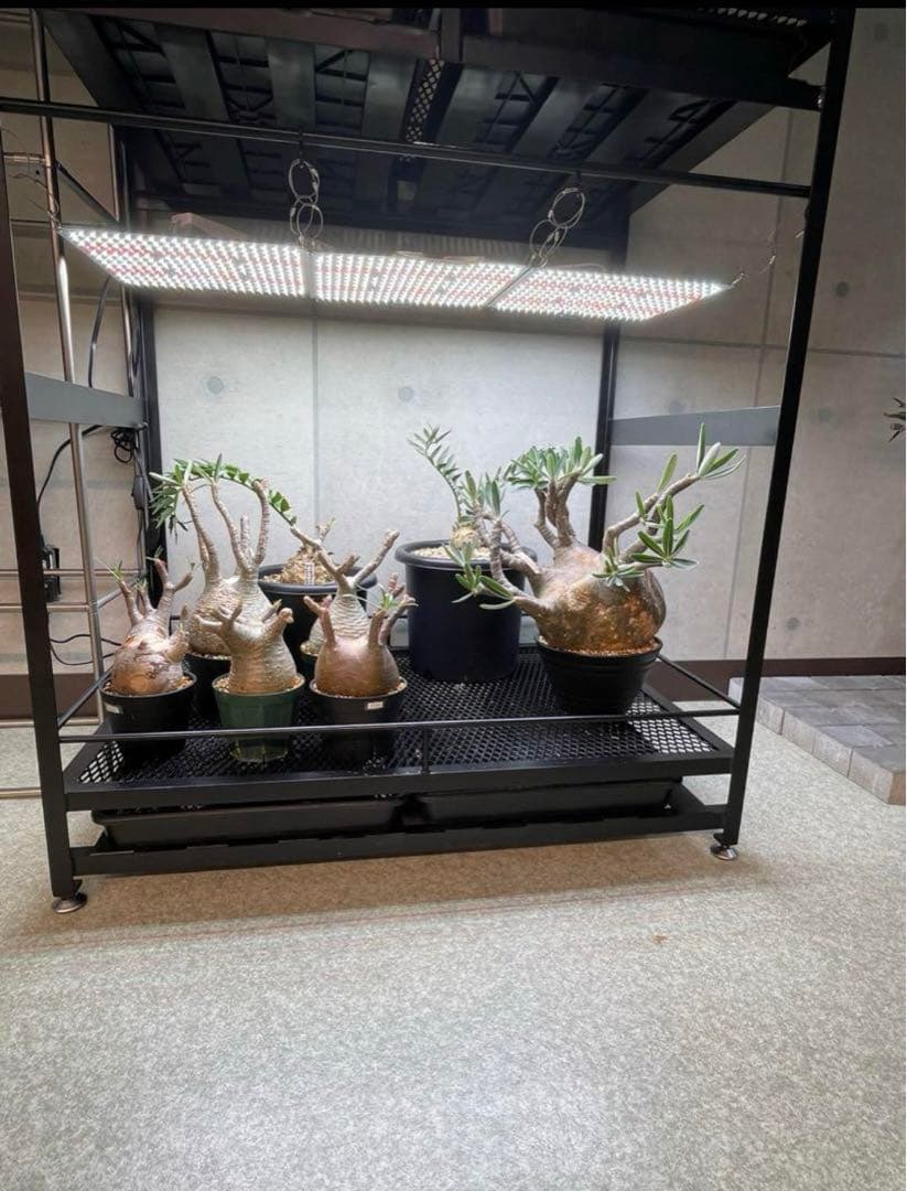 植物棚　アイアン　コンパクトタイプ小　アイアン植物棚　シェルフ　tig溶接製作