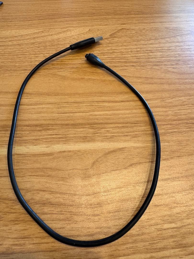 Garmin Approach S62 ホワイト 本体＋充電ケーブル付き
