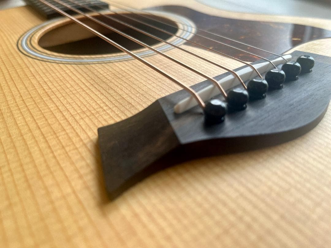 ギター GS Mini-e Rosewood