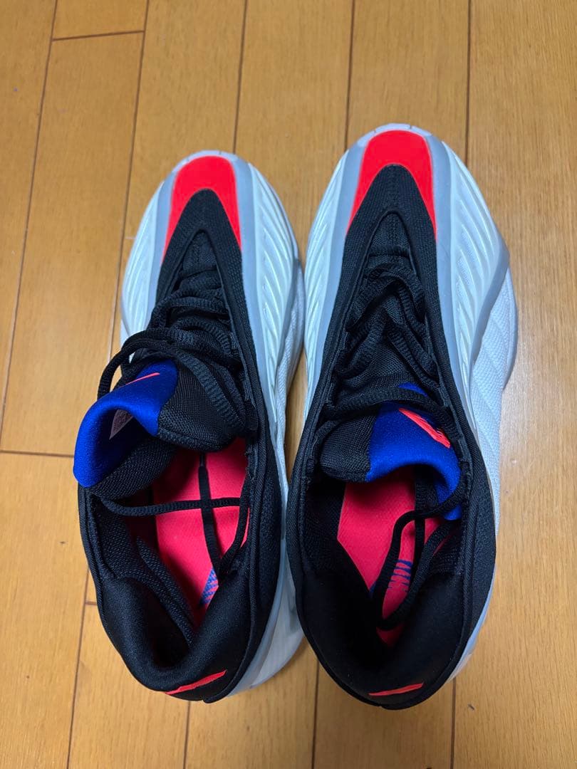 シューズ(男性用) AE2 \"USA\"