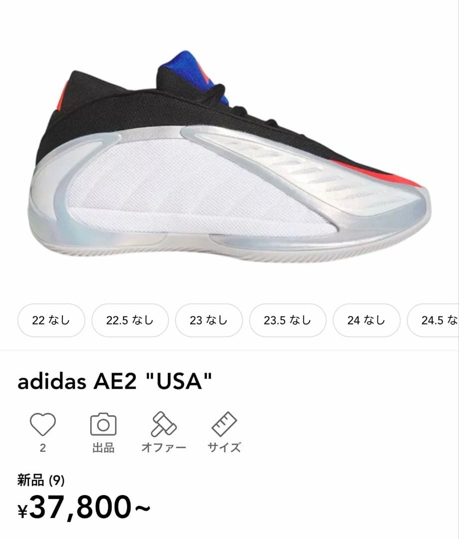 シューズ(男性用) AE2 \"USA\"