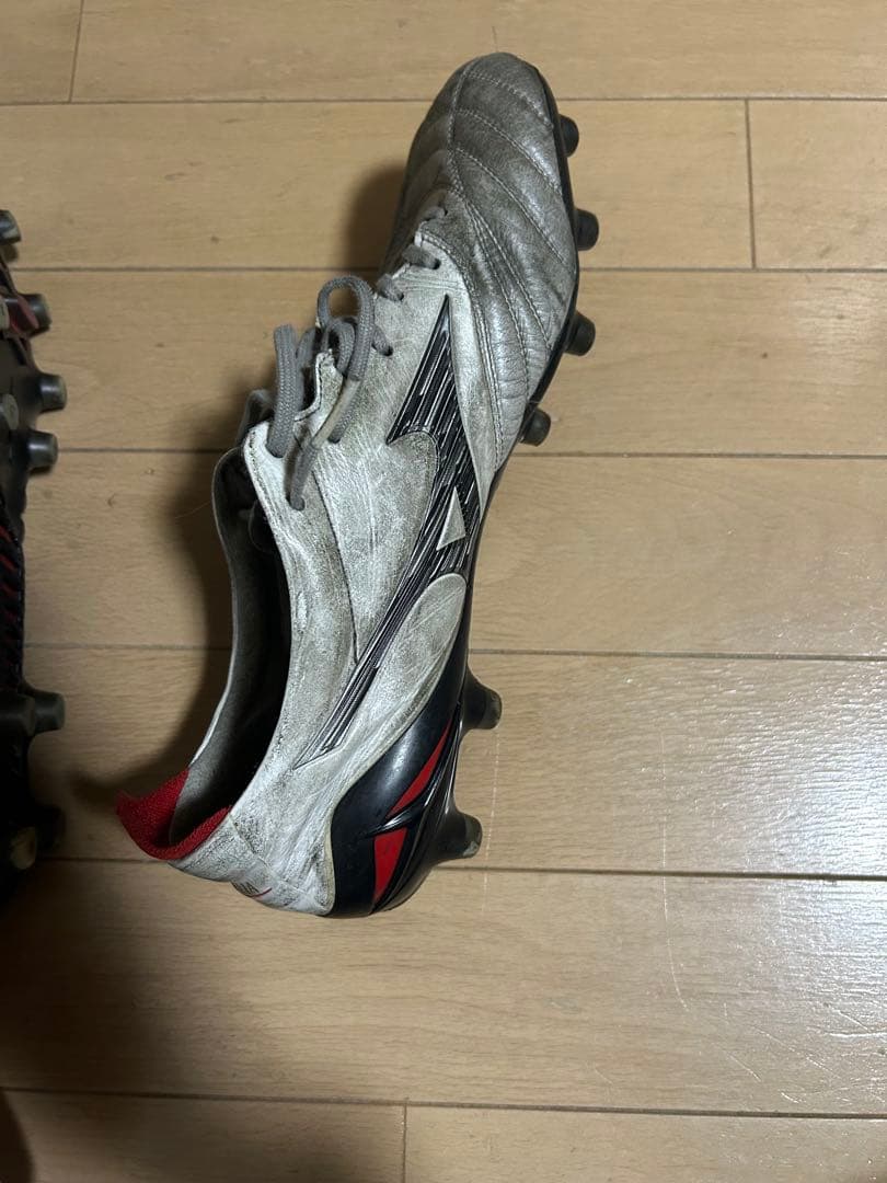モレリアネオ4、27cm