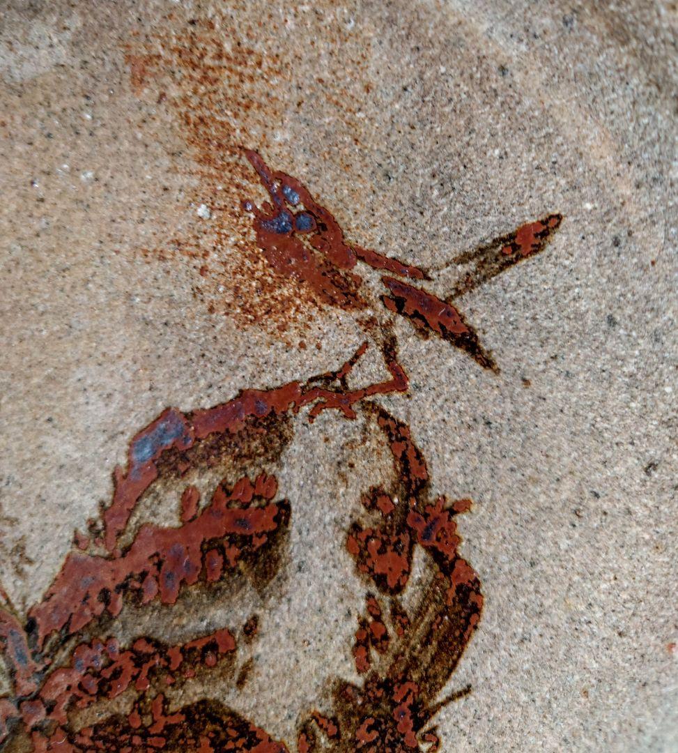 【稀少 廃窯】お茶の水窯 四代目 捷延 作 絵唐津 皿 21.5cm 未使用完品