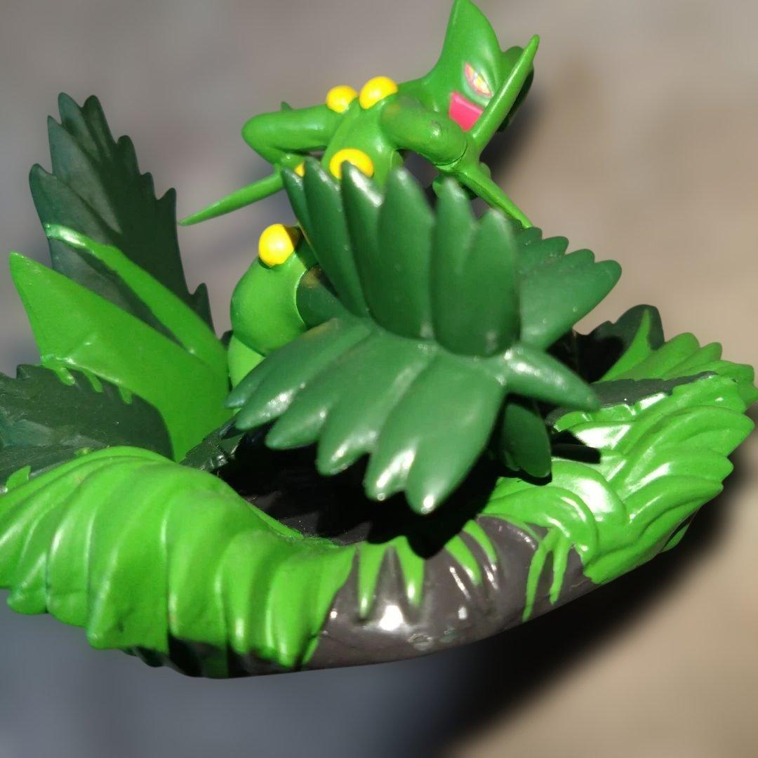 ポケモン　バトルコロシアム　ジュカイン