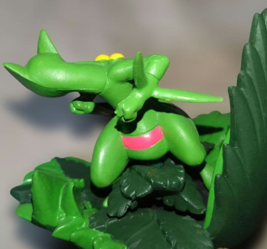 ポケモン　バトルコロシアム　ジュカイン